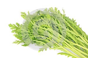 Chrysanthemum greens,