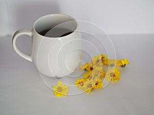 Chrysanthemum Juice, Drink water Chrysanthemum indicum Scientific name Dendranthema morifolium, Flavonoids, in white teacup