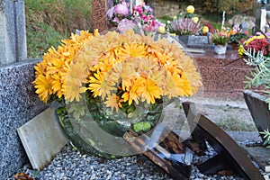 Chrysanthemum plants on tombstones