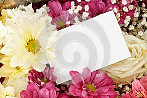 Chrysanthemum rose bouquet border photo