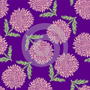 Chrysanthemum seamless pattern. Pink flowers. Hand drawn floral vector illustrations. Pen or marker sketch. Hand drawn