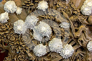Chrysanthemum on stone