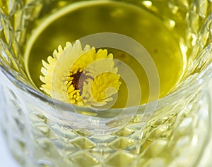 Chrysanthemum tea with heat clearing and detoxifying effect