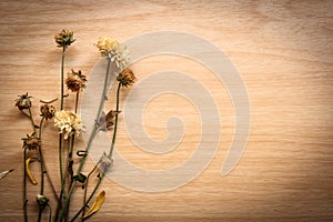 Chrysanthemum wilted on a wooden board