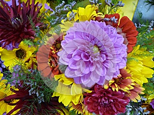 Chrysanthemums and dahlias photo