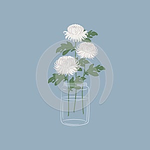 Chrysanthemums in a glass vase. White flowers with leaves. Autumn flowers