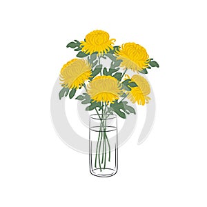 Chrysanthemums in a glass vase. Yellow flowers with leaves. Autumn flowers
