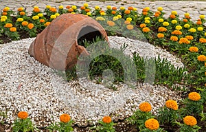 Chrysanthemums and pottery urn in ornamental garden