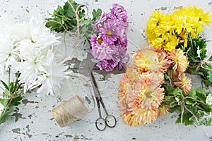 Chrysanthemums, slub yarn and scissor photo