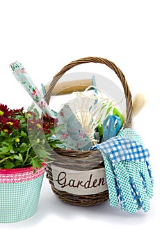 Chrysanths and garden tools