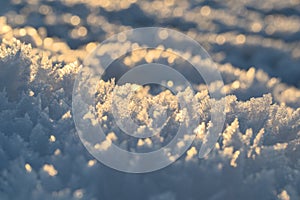 chrystals of ice, beautiful detail in backlight