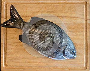 Chub fish on a cutting board