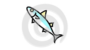 chub mackerel color icon animation