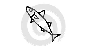 chub mackerel line icon animation