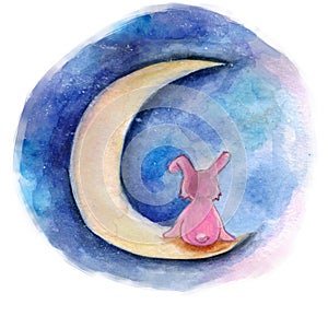 Chubby moon rabbit looks into the distance