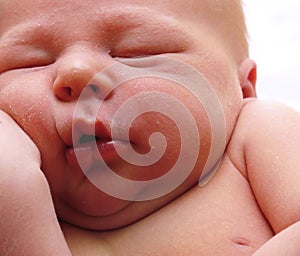 Chubby newborn infant