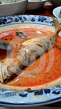 chuchi mackerel