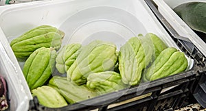 Chuchu squash vegetable on Portuguese market stall