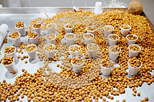 Chufa irrigated with water. Groundnuts tiger nut in plastic glasses with water in fair exhibitor. Tigernuts to make horchata from