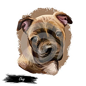 Chug puppy digital art illustration isolated on white