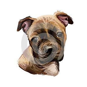 Chug puppy digital art illustration isolated on white