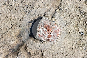 Chunk of brick revealed in the mud of dry lake bed