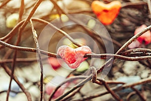 A chunk of a red heart shaped candle adheres to an old rusted steel rod.