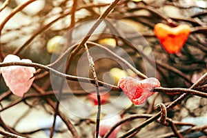 A chunk of a red heart shaped candle adheres to an old rusted steel rod.