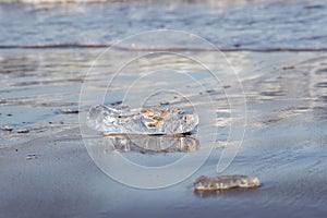 . chunks of ice on a gray sandy surface with reflections, water and waves in the background
