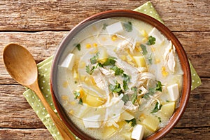 Chupe andino refers to various stews and soups that are prepared in the Andes mountains region in South America close-up in a bowl photo