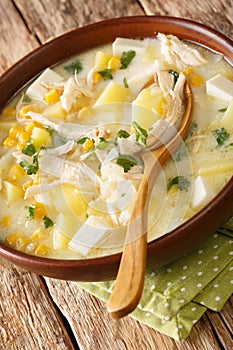 Chupe Andino is a traditional soup made from shredded chicken, cheese, vegetables and cream closeup in the plate. vertical photo