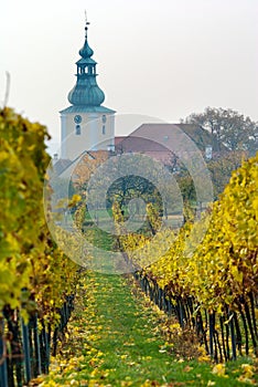 Church in autumnal wineyard