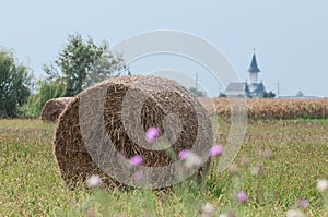 Church, bale of hay and a corn field