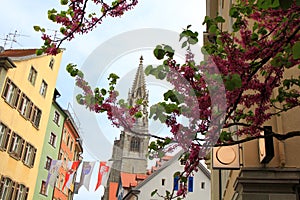 The church behind the flower branches, Constanz, Germany