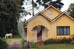 house with horse photo