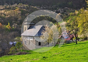 Church in Brdarka and blossoming cherry trees