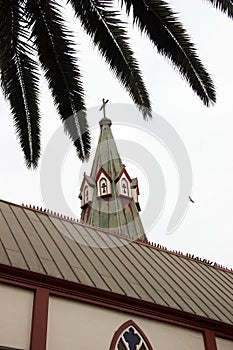 Church building and palm tree