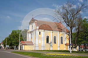 Church of the Exaltation of the Holy Cross in the city of Lida, Belarus photo