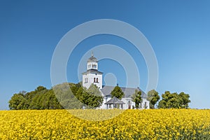 Church in a field of rapeseed in Sweden