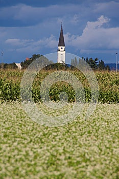 Church And Fields, Prekmurje, Slovenia photo