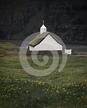 Church in flower meadow in Saksun Bay on Streymoy Island, Faroe Islands