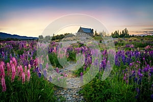 Church of the Good Shepherd, Tekapo, New Zealand