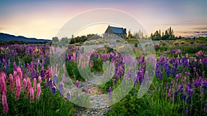 Church of the Good Shepherd, Tekapo, New Zealand