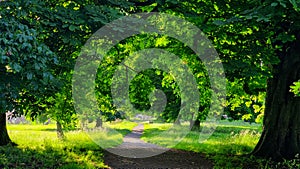 Park, Hemel Hempstead