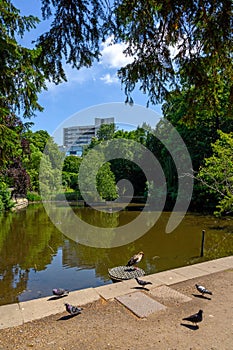 Church House Gardens is in the centre of Bromley and is an open space with trees and a lake.