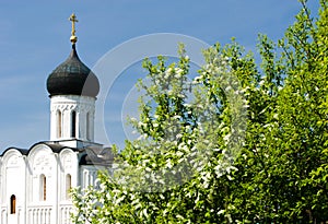 Church of the Intercession on the Nerl