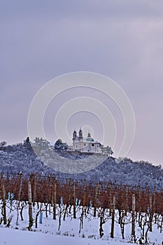 Leopoldsberg covered in snow, vertical