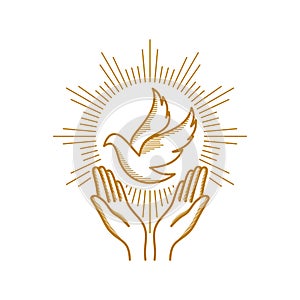 Chiesa designazione dell'organizzazione o istituzione. cristiano simboli. prega mani un colomba da santo fantasma 
