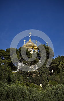 Church of Maria Magdalene Among Trees