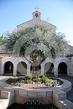 Church of the Multiplication of Loaves and Fishes, Tabgha, Israel